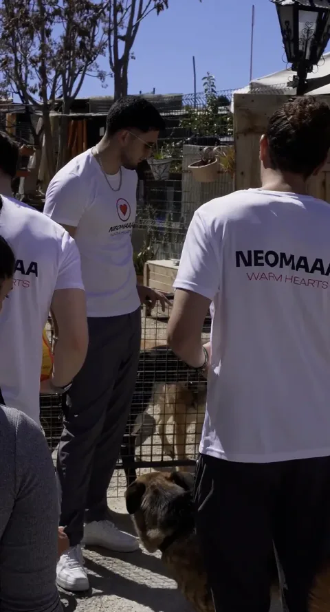 Поездка NEOMAAA Warm Hearts по приютам для животных